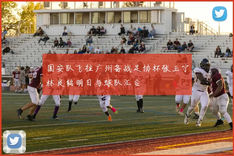 国安队飞往广州备战足协杯张玉宁林良铭明日与球队汇合